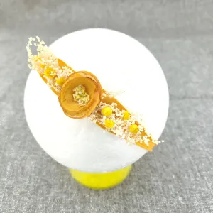 Babymoon Baby Girl's Designer Floral Headband | Girls Hair Accessories | Golden