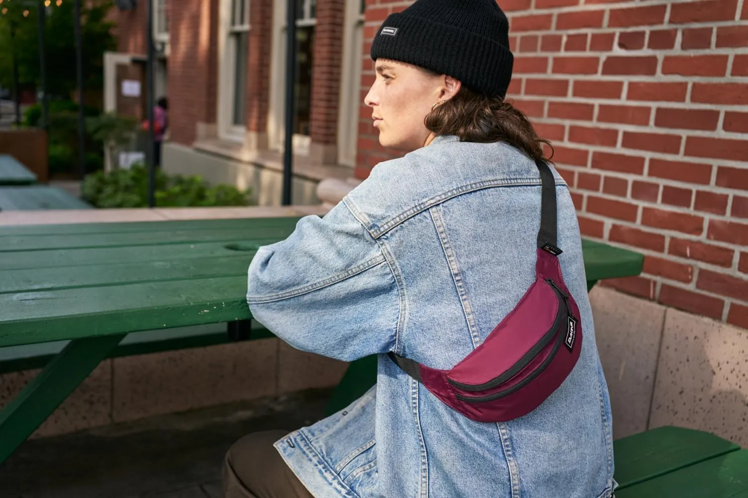 Dakine Classic Hip Pack