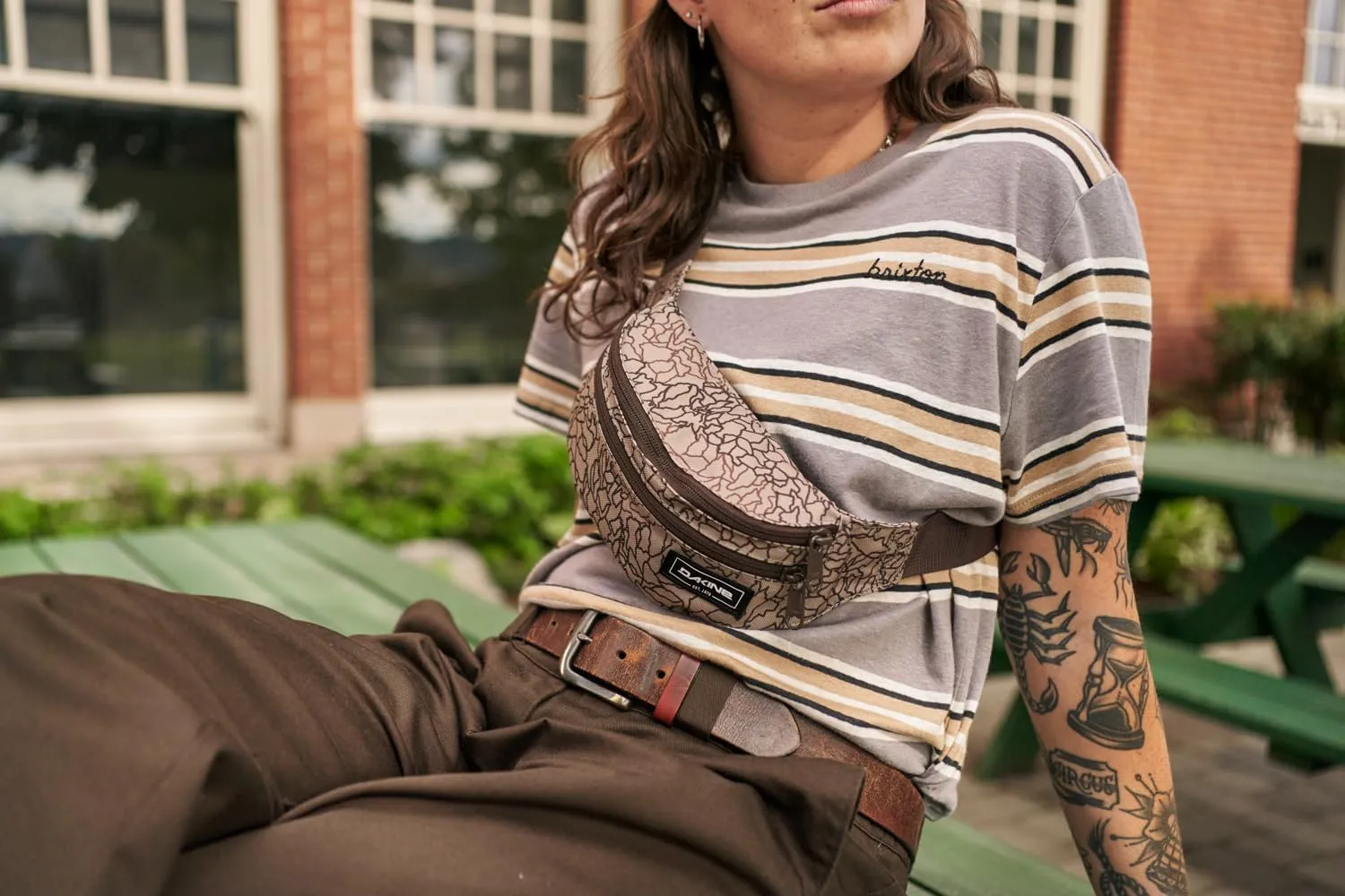 Dakine Classic Hip Pack