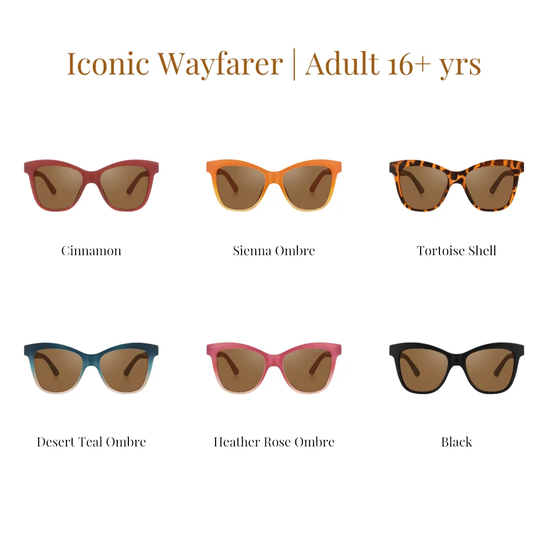 Iconic Wayfarer Ombre  | Polarized Sunglasses | Adult | 15  Y | Mauve Rose Ombre